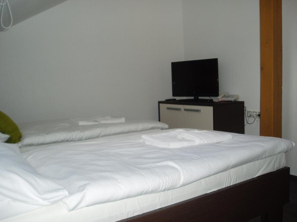 Hotel Kaskada Ledeč nad Sázavou Camera foto